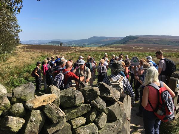 Lovely view across the moor