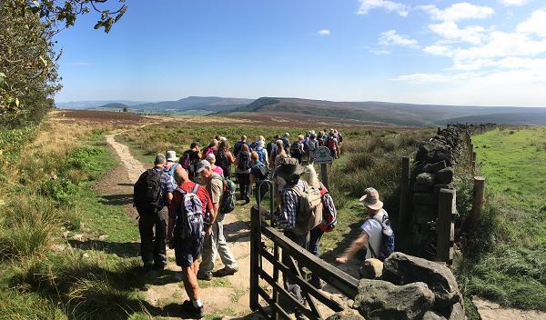 Entering Scarth wood moor