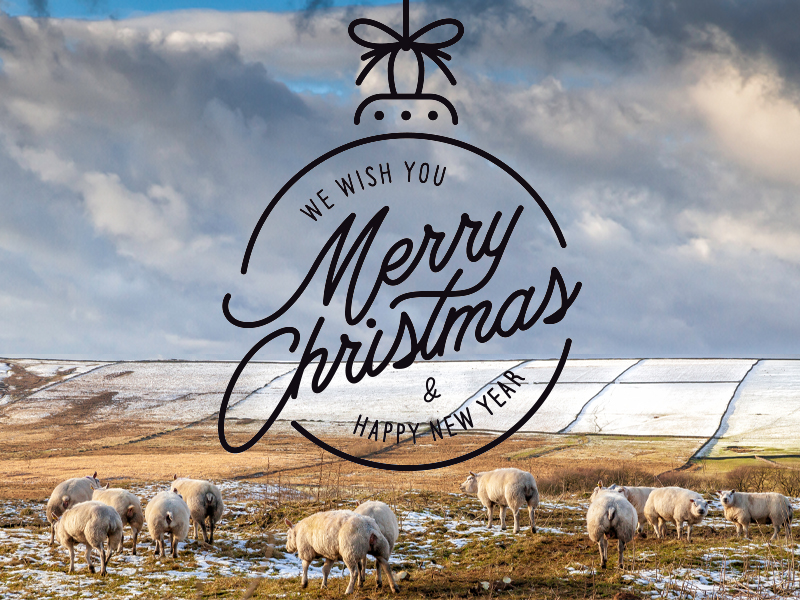 Merry Christmas from Jean and David