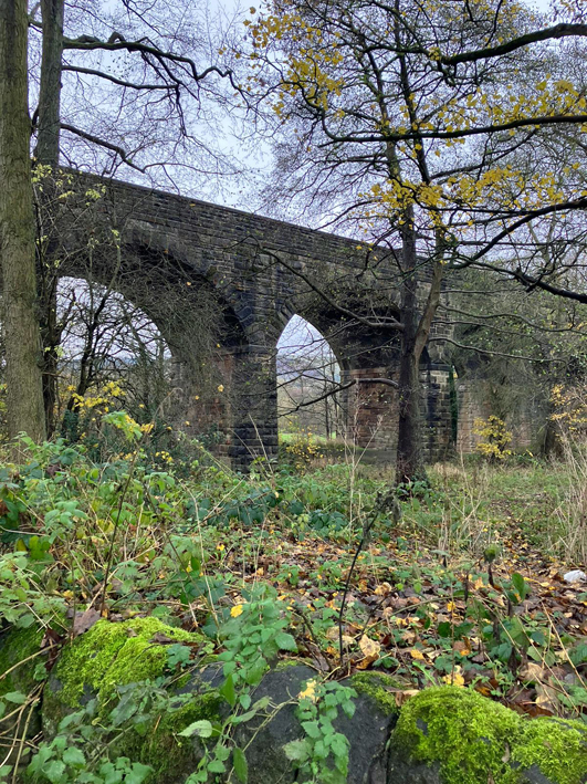 weekend wanderers – 2022 christmas walk – image – 10