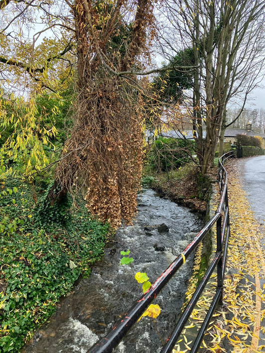 weekend wanderers – 2022 christmas walk – image – 11