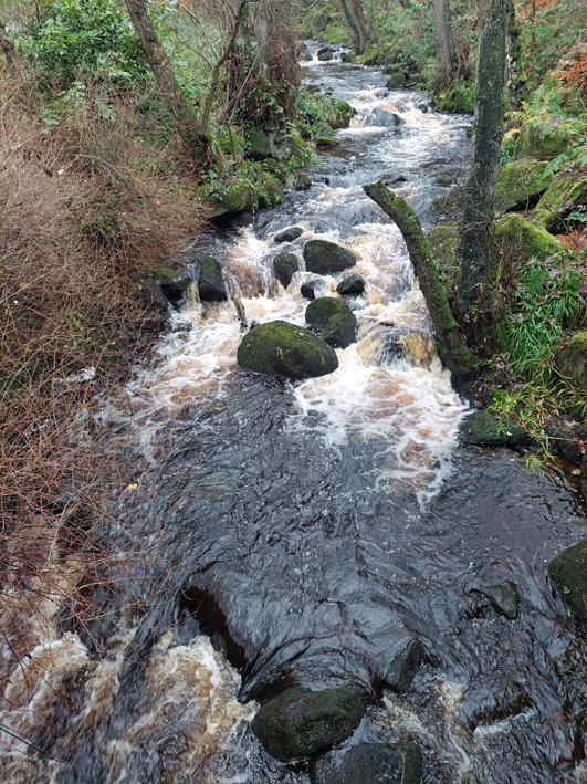 weekend wanderers – 2022 christmas walk – image – 6