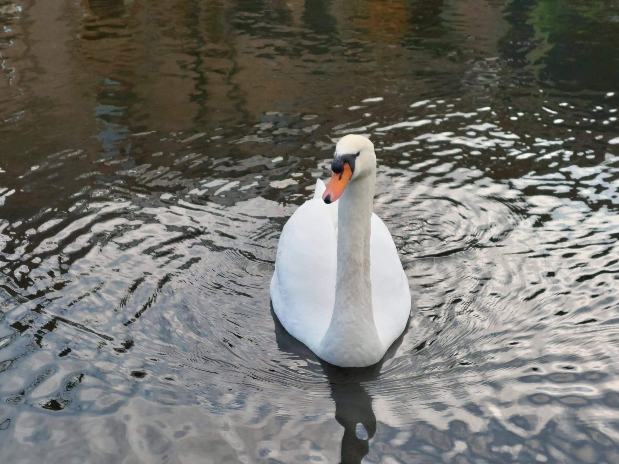 IMG-20230111-WA0013
