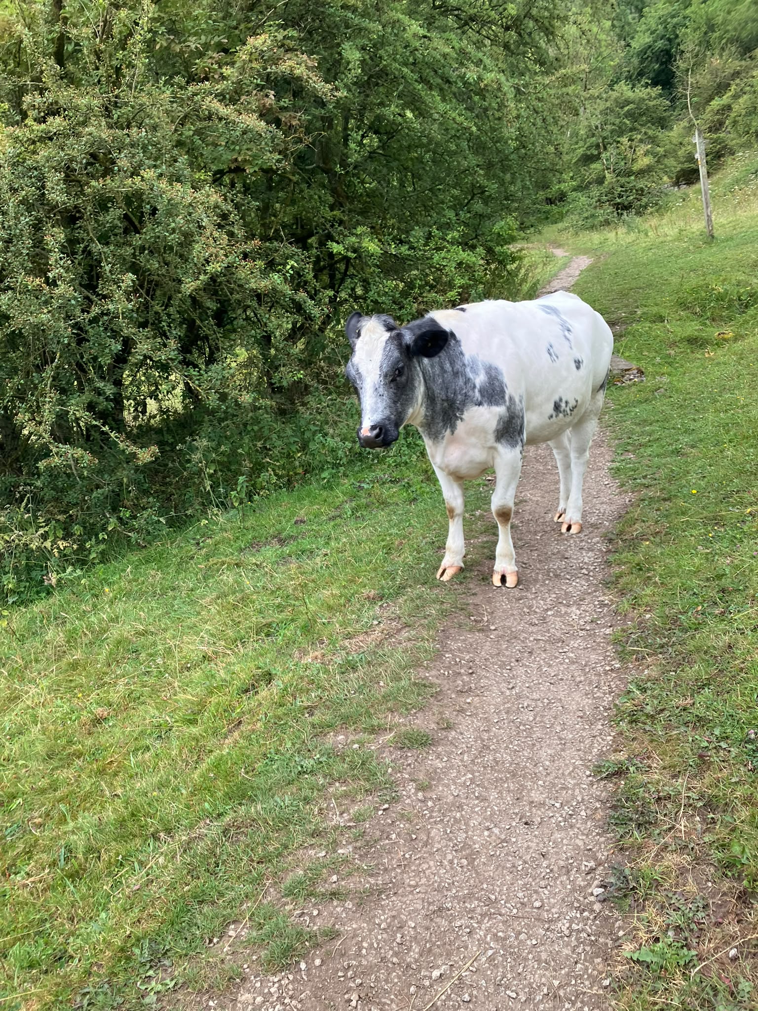 8 – Please get out of the way